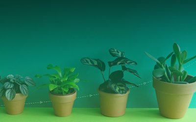 Pourquoi investir dans seo graciet co.