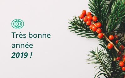 Carte voeux 2019 agence graciet co.