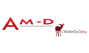 Logo amd in out dahu.