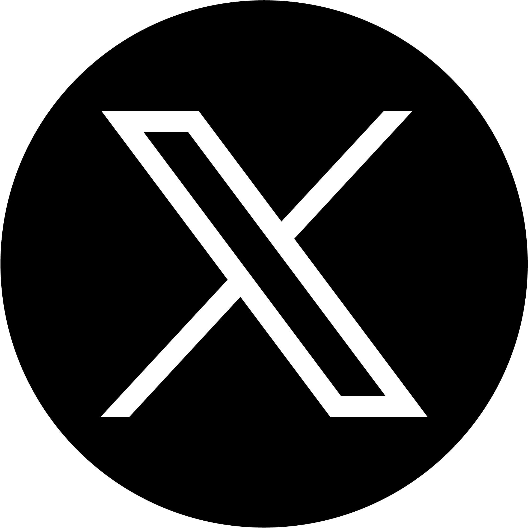 Logo x.